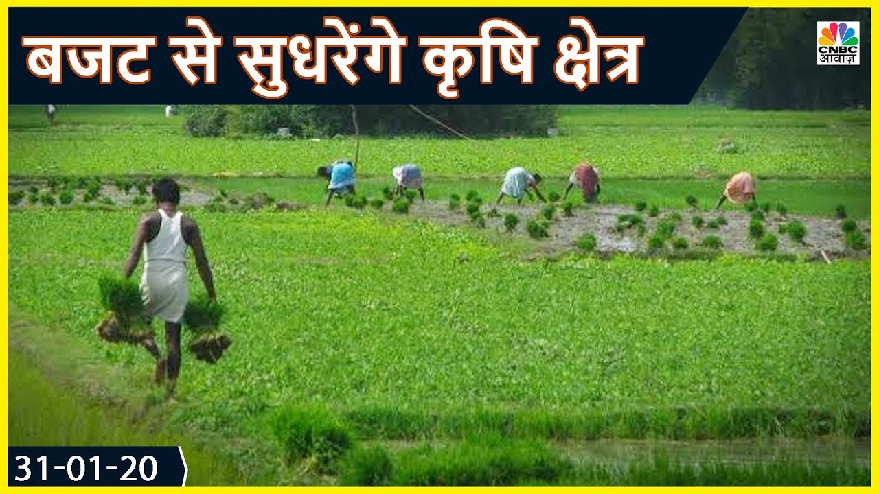 Budget से सुधरेंगे कृषि क्षेत्र के हालात? | Budget 2020 | CNBC Awaaz