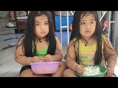 পুজো দাওয়াত সময় আমার হাতে হাতে কাজ করতে খুব পছন্দ করে #twin #vlog 