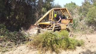 Rescued Cat D2 goes back to work Cutting a track through gorse