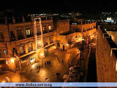 كان بنفسي محمد بشار