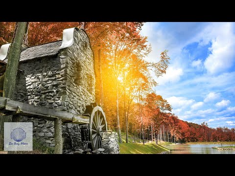 在 YouTube 上观看 Flowing water, Birds, and Theta Sound Healing Infused with Reiki