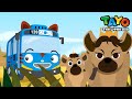 Brave Queen Hyena l Safari Bus Tayo l Learn Animals with Tayo &amp; Vehicles l Tayo the Little Bus