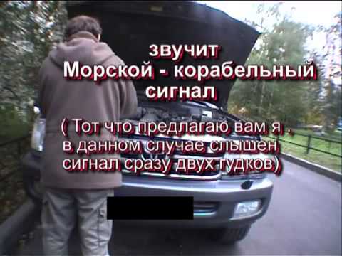 Гудок акуленок на авто