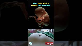 Baby sucking fingers in the womb ?? Fetal growth & development shortsvideo pregnancy nutrition