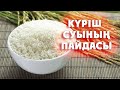 КҮРІШ СУЫНЫҢ ПАЙДАСЫ КӨП