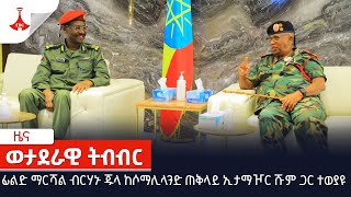 ፊልድ ማርሻል ብርሃኑ ጁላ ከሶማሊላንድ ጠቅላይ ኢታማዦር ሹም ጋር ተወያዩ Etv | Ethiopia | News screenshot 2