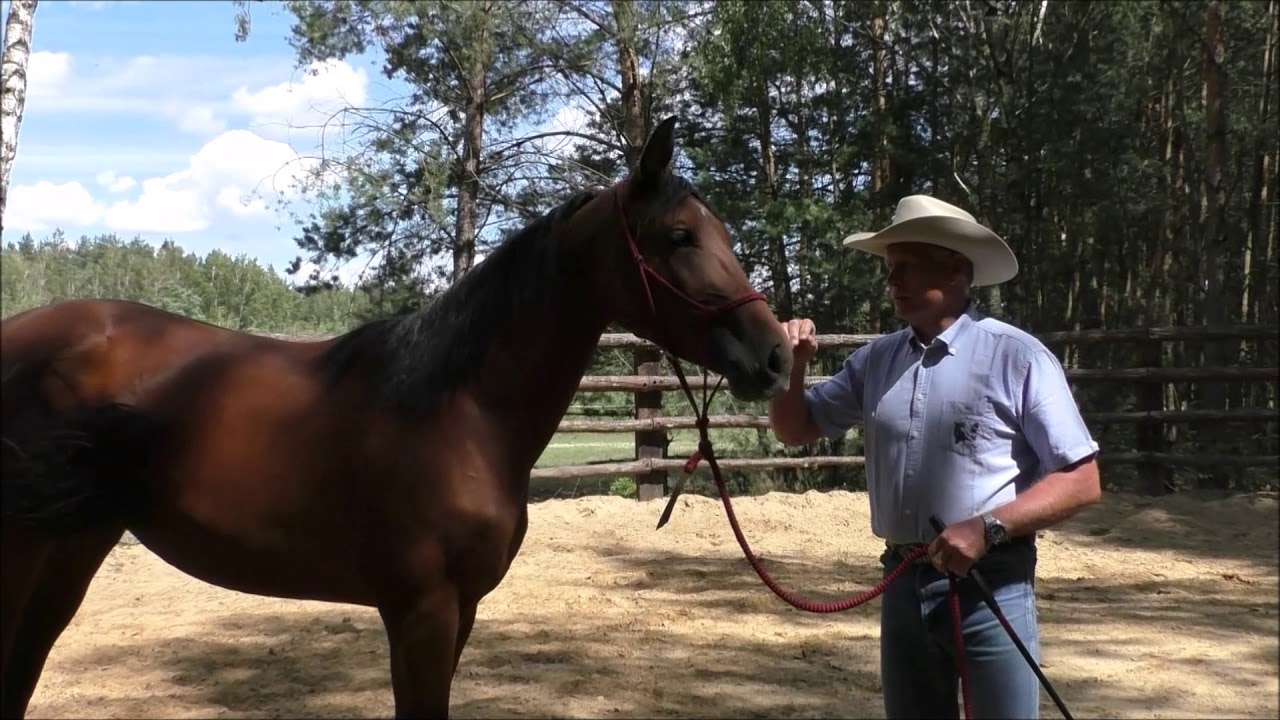 Lorida - Part 1 - Correction of Difficult & Problematic Horses.