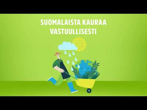 Video: Sairaanhoitajien työnkuvat eri aloilta