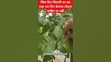 जिस दिन शिवजी का व्रत रखा उस दिन बेलपत्र तोड़ना चाहिए#pradeepmishra #shiv #om #sawan #bholenath #शिव