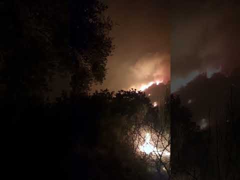 الدفاع المدني حريق حراجي ضخم في منطقة دير عثمان بريف دركوش غربي إدلب