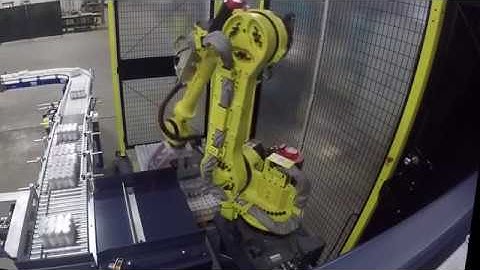 Single Line Palletizer - Wrapped Product Palletizing