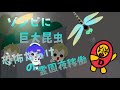 ゾンビに巨大昆虫 恐怖だらけの 霊園夜稼働 【Uber Eats】 【menu】 【wolt】【出前館】