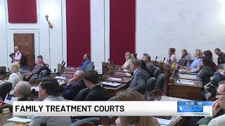 Family Treatment Courts