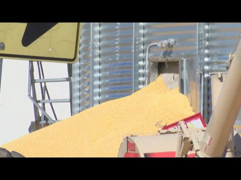 Waterloo Fire talks National Grain Bin Safety Week