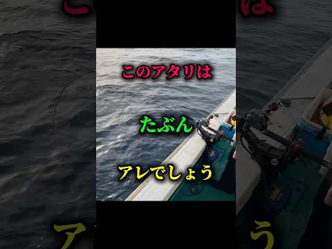 【釣り】このアタリはたぶんアレでしょう　#釣り #アウトドア #おすすめ