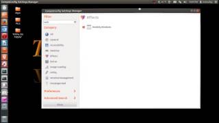 Compiz Effects For Dummies - I'm On Fire!