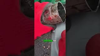 TG: nexpertGM Ковшик это вещь! #shorts #независимыйэксперт #георгиймедведев