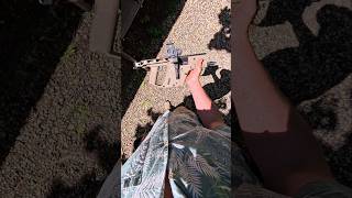 Kriss Vector