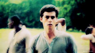 The Maze Runner || All the rules are changing now