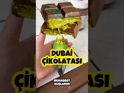 Dubai çikolatasını muhabbet