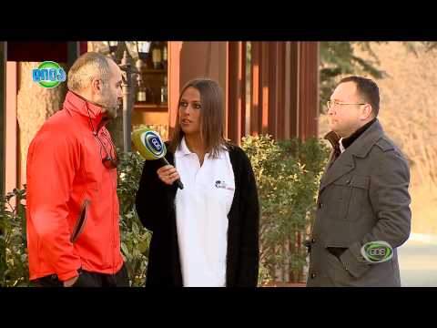 GDS დილა - Wings For Life World Run სტარტს თელავი ყვარელის გზატკეცილზე აიღებს