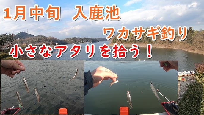 1月1日 入鹿池 ワカサギ釣り 入鹿池 わかさぎ釣り Part1 Youtube 1月1日 入鹿池 ワカサギ釣り 入鹿池 わかさぎ釣り Part1 Youtube