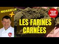 Les farines carnes