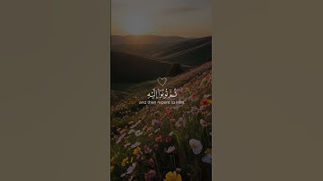 [سورة هود – الآية 52] القارئ رعد الكردي