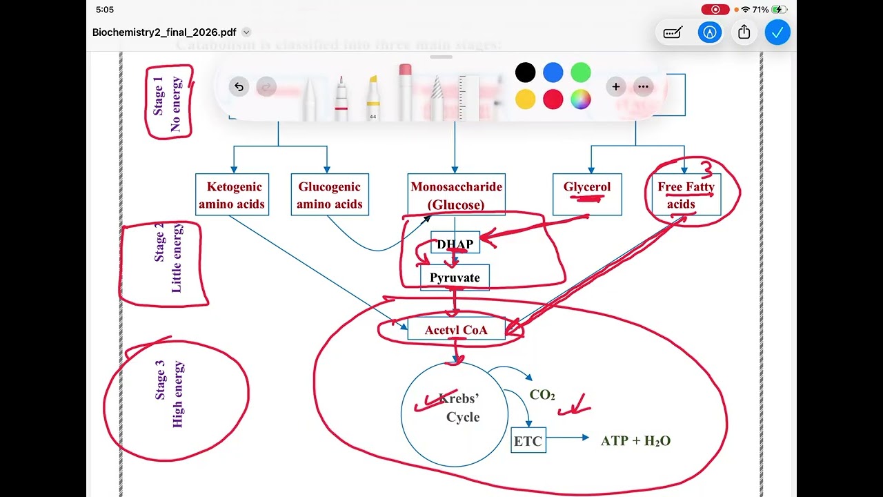 Biochemstry | Introduction to metabolism 1
