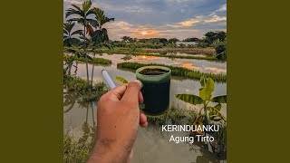 Download Lagu Kerinduanku MP3