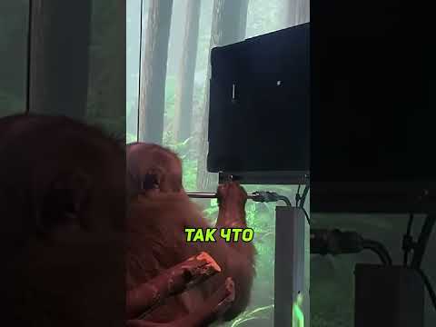 Чип Neuralink - ЭТО РАБОТАЕТ