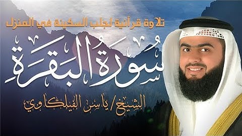 سورة البقرة تلاوة خاشعة للقارئ الشيخ ياسر الفيلكاوي