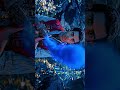 4k Video Disney S Aladdin 2019 4k Video Disney S Aladdin 2019