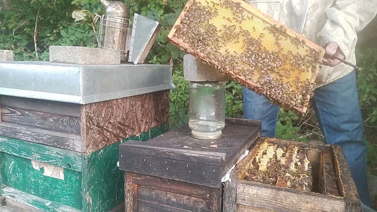 Sprawdzam ilosc pokarmu - wypadek przy pracy strata matki.