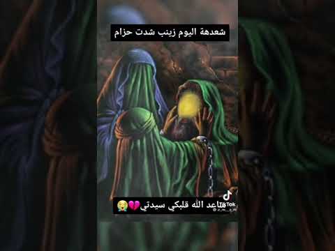 ملايه شعده اليوم زينب شدت حزام