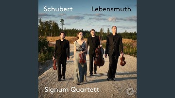 String Quartet No. 1 in G Minor, D. 18: IV. Presto