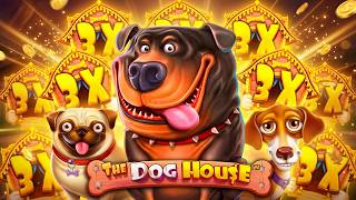We Bought Every THE DOG HOUSE Game | 5000€ Bonus Opening screenshot 3