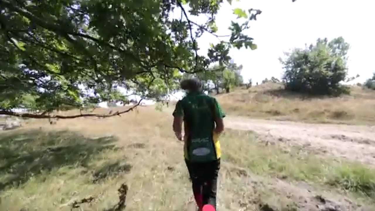 O-Ringen - Det stora äventyret