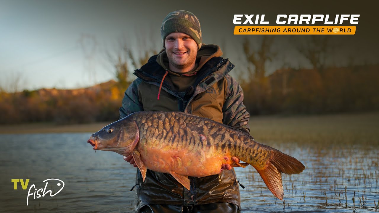 Splněné sny na Rio Ebro | Rekordní lysec a plnošupinatý kapr | Exil Carplife | TVFISH CZ-SK