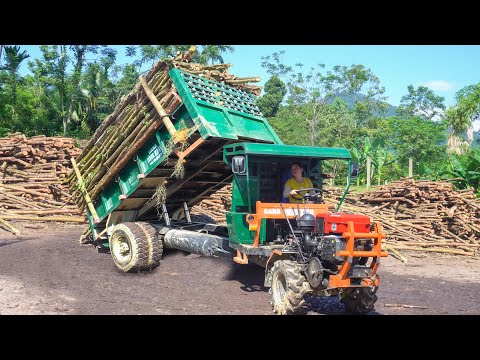 Repair And Maintain Trucks - Use Truck To Transport Wood To Sell To Wood Factory - Buy a motorbike