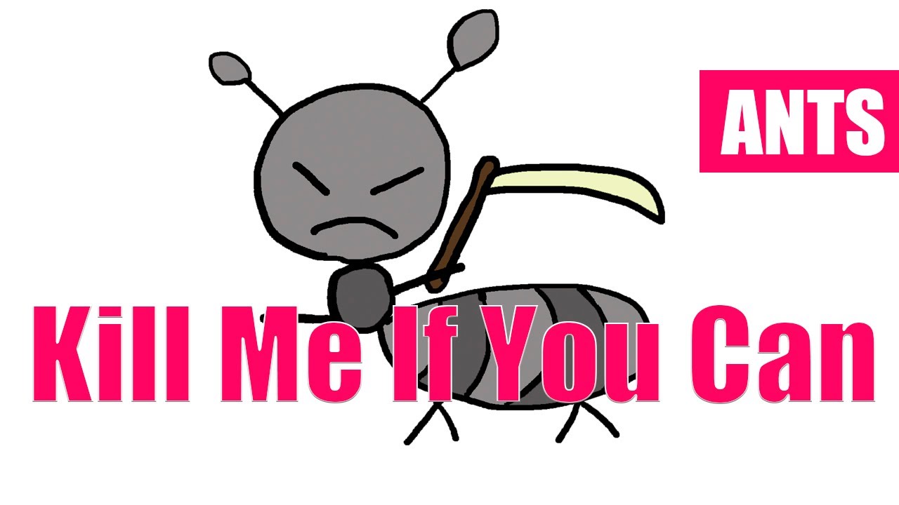 How To Get Rid Of Ants/Ants control - YouTube