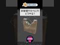 非破壊でカベにラフな穴をあける方法#blenderチュートリアル #blender