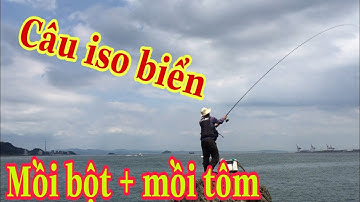 NDK Vlogs- câu iso biển | sử dụng mồi tổng hợp câu nhiều loài cá biển khác nhau | cá nào cũng chết.