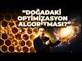 Mikro Kozmostan Makro Kozmosa: Aynı Geometrik Yapılar Tesadüf mü Zorunluluk mu? 😳🌀 #geometri