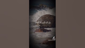 ياسر الدوسري سورة البقرة الاية 144-145  #quran #القرآن_الكريم #سورة_البقرة #ياسر_الدوسري #makkah