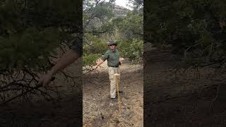 Cut Test - United Cutlery Combat Commander Gladiator Vs. A Thick Plastic Bottle