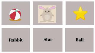 Match the Words with the Pictures