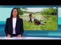 Weil er während der Nachtruhe Gras mähte: Bauer bekommt Busse über 80 Franken | ZüriNews