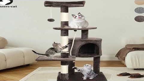A must-have product! Passerscat Cat Trees Cat Climbing Frame For Indoor Cats Multi-Level With Scra