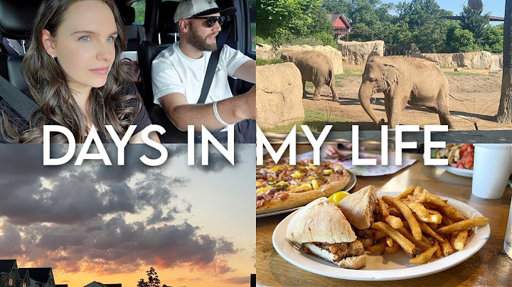 DAYS IN MY LIFE: a little setback, first zoo outing, current Dunkin' order, scary 2 a.m. wake-up